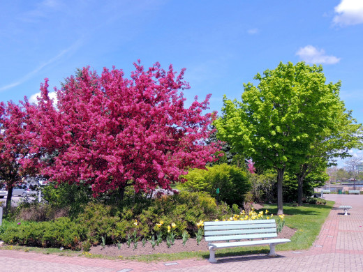 1137001 (a): :2560x1920